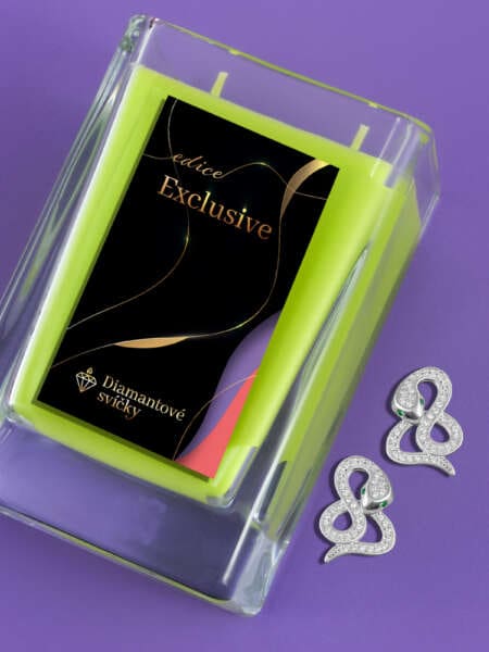 Náušnice puzety hadi | Svíčka se šperkem